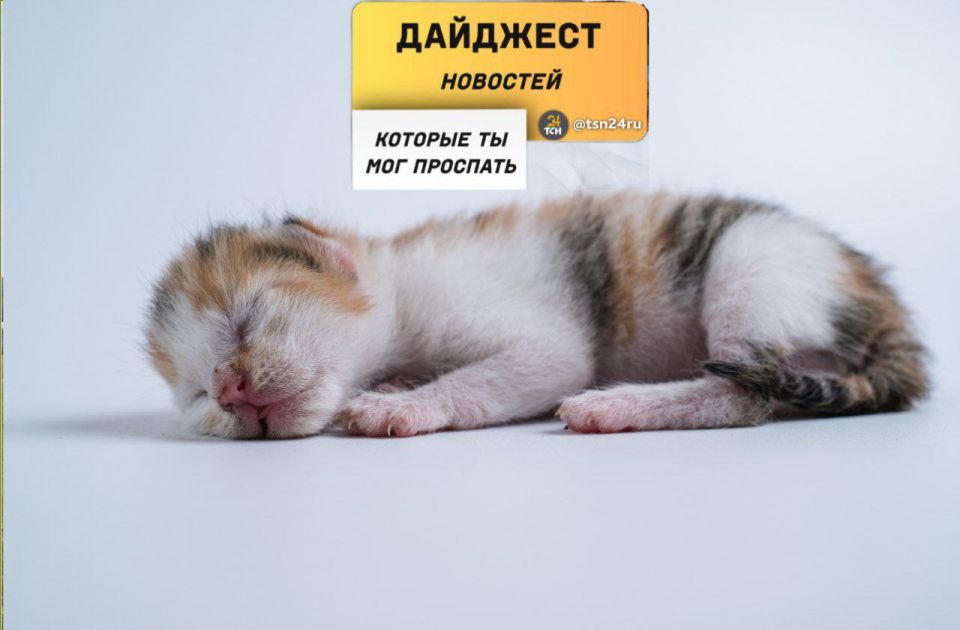 Рассказываем о новостях, которые вы могли пропустить вчера