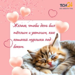 Сегодня празднуется День пушистой нежности