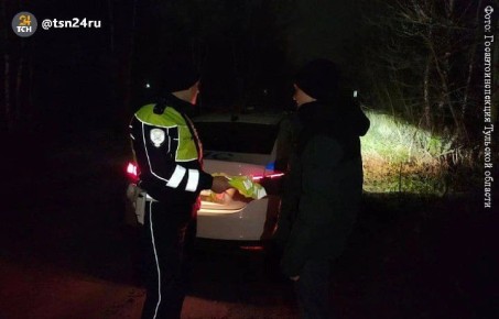 В Тульской области 183 пешехода наказаны за нарушения ПДД