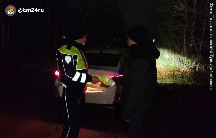 В Тульской области 183 пешехода наказаны за нарушения ПДД