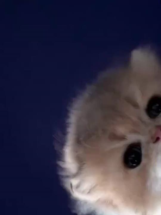 На вас накричали! Задумайтесь!