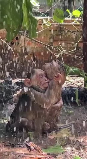 Отправь тому, кого хочешь обнять