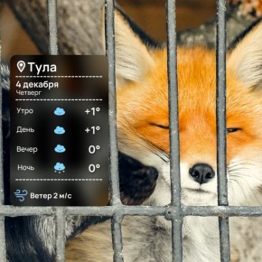 Доброе утро. Легкого вам четверга и позитивного настроения!