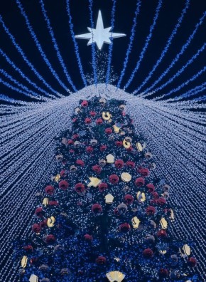 Тульская городская Дума желает хороших выходных!