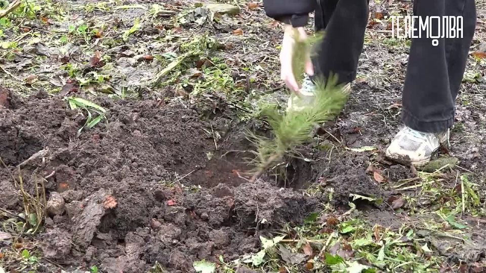 #СМИобМЧС. О посадке аллеи к 35-летию МЧС России, огнеборцах города Липки и юных кадетах- спасателях смотри в новом сюжете телеканала «Телемолва»