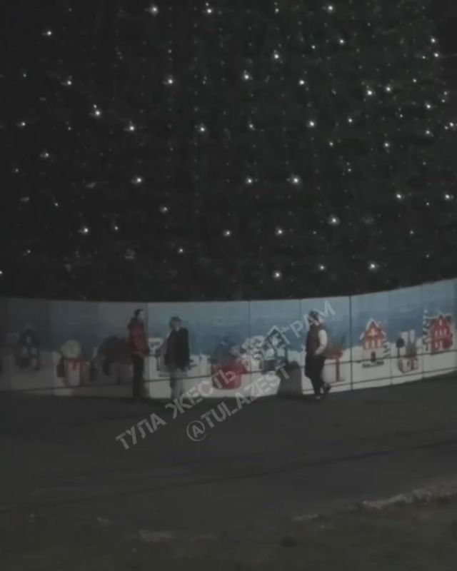 Трое парней, видимо, очень хотели украсить свой дом к праздникам и пошли на воровство