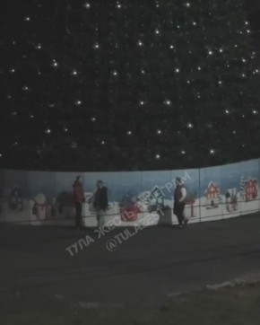 Трое парней, видимо, очень хотели украсить свой дом к праздникам и пошли на воровство