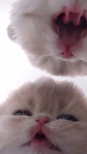 Вы плохо задумались в прошлый раз