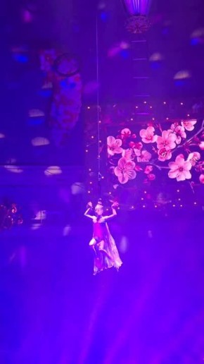 В Тульском цирке сегодня проходит заключительный день международного фестиваля "На языке мира"