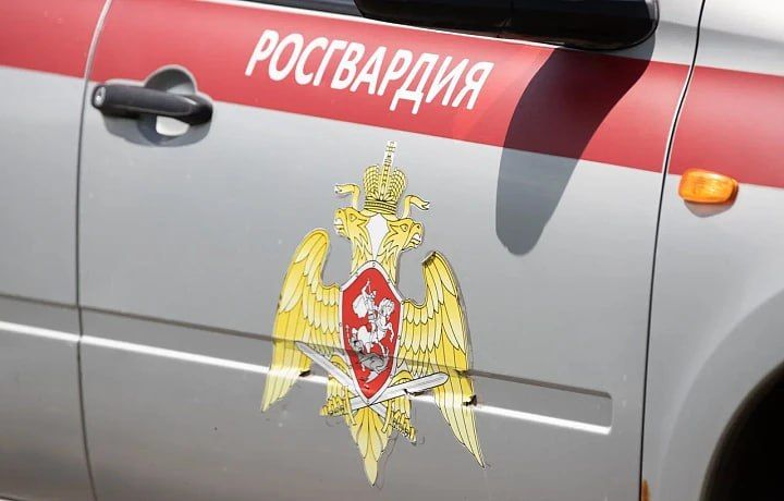 � �������� ������� �� ������ ������ 12 ������ ������ � �������� 600 ������� ��������