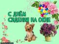 #КорочеПраздники на 10 декабря