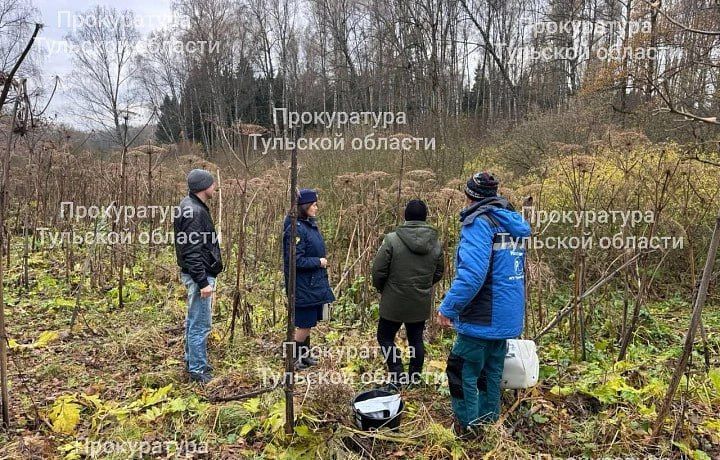 � �������� ������ ��������� � ��������������� �����������, ������������ ����� � ������ ���� �������