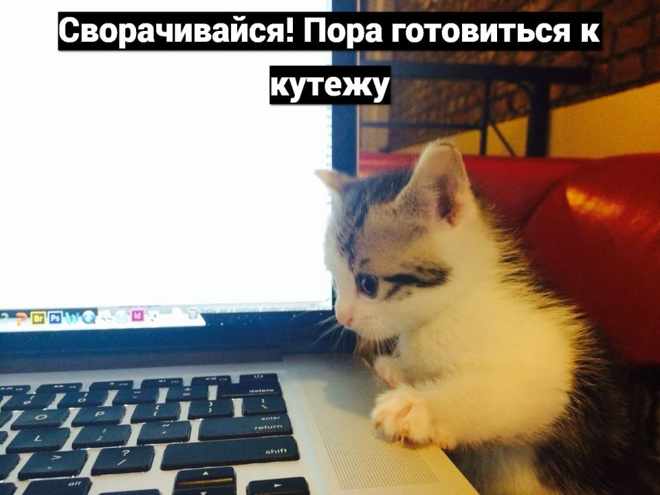 �������� ������� ���������� ��������� �� 6 ����� ������� ���� �������