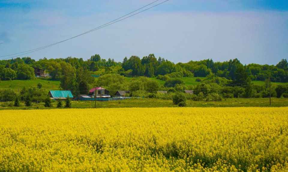 10 тульских имущественных комплексов хотят убрать из списка приватизации за ненадобностью