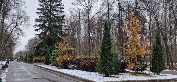 Тульская городская Дума желает хороших выходных!