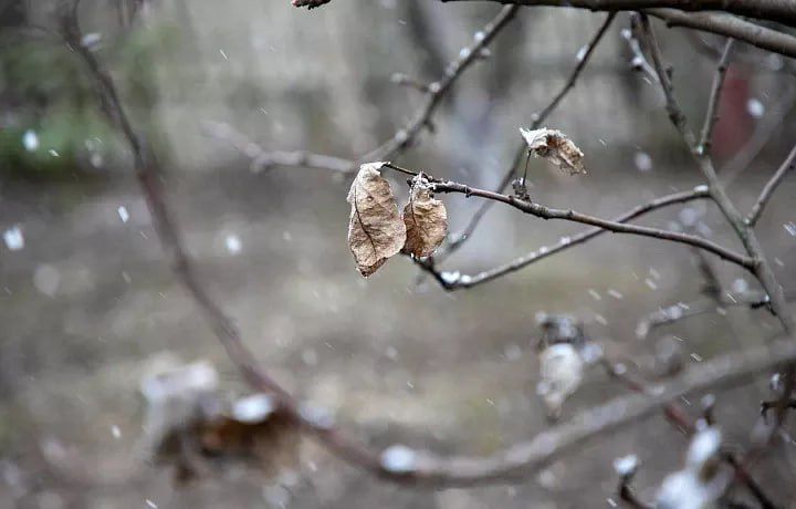 В Тульской области 12 и 13 декабря прогнозируется резкое ухудшение погоды