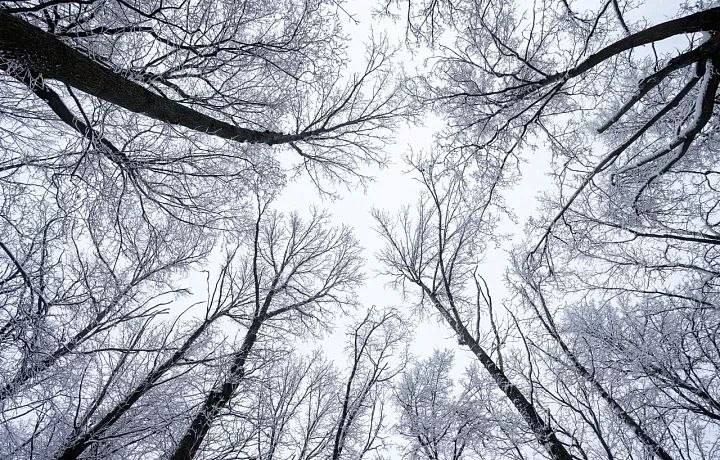 Погода на 13 декабря. Время рассвета: 08:41