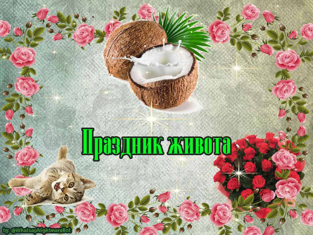 #КорочеПраздники на 13 декабря