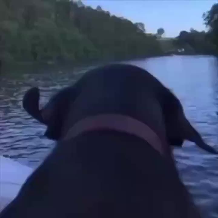 Мне срочно нужен вот такой навигатор