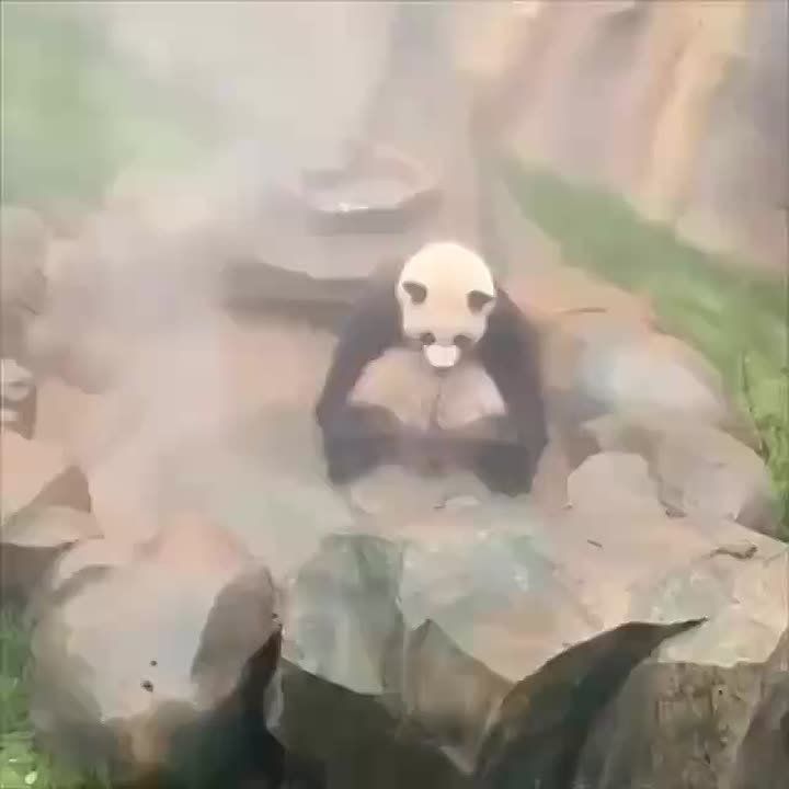 ������� ������ ������ � ��������, ��� ����� � �� ������ � ������� ������������