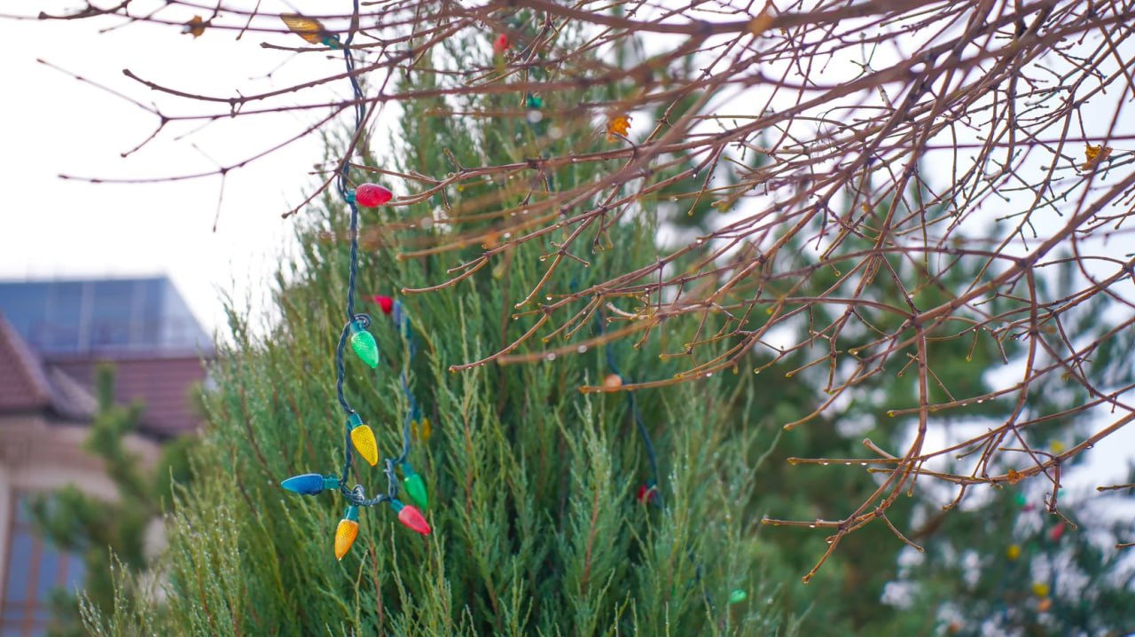 Что по погоде на следующей неделе ?