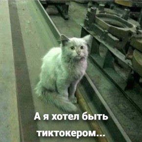 63% девятиклассников в России отказались от поступления в 10-й класс, выбрав ПТУ и колледжи