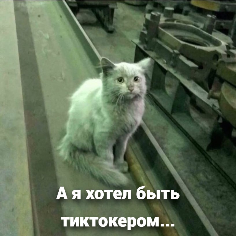 63% девятиклассников в России отказались от поступления в 10-й класс, выбрав ПТУ и колледжи