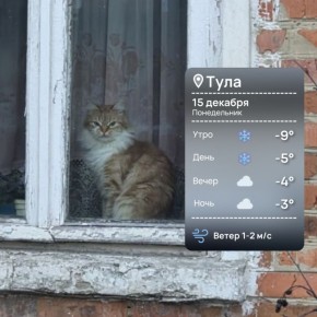 ������ ����. ��� �� �������� ����� ������