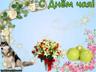 #��������������� �� 15 �������