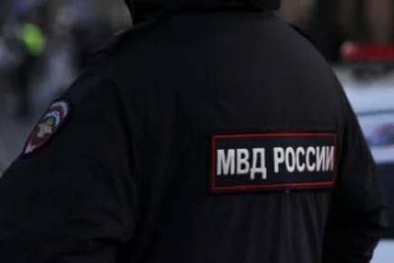 Тульская полиция раскрыла подробности произошедшего в деревне Нижнее Елькино