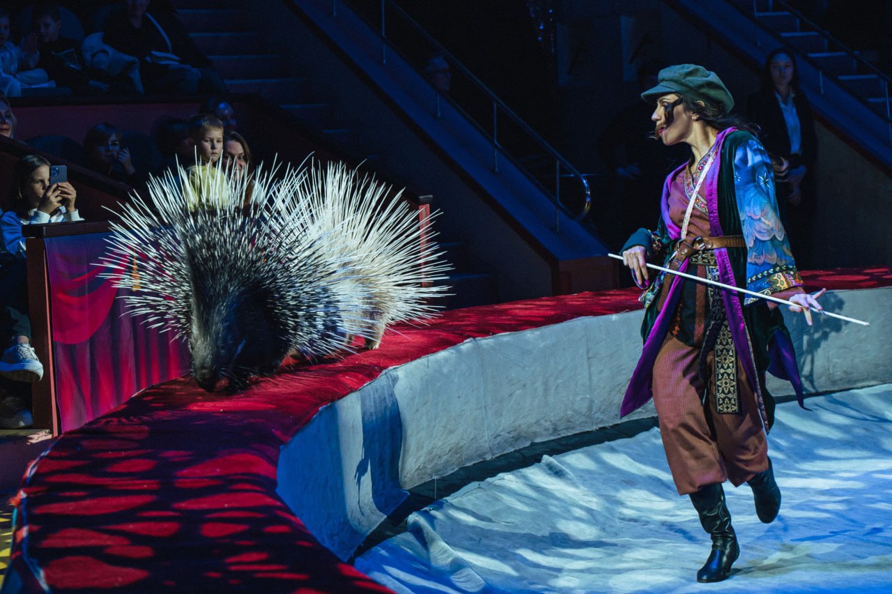 Тульский цирк приглашает жителей на новогоднее шоу «Жар-птица» Тульский цирк приглашает жителей на новогоднее шоу «Жар-птица»