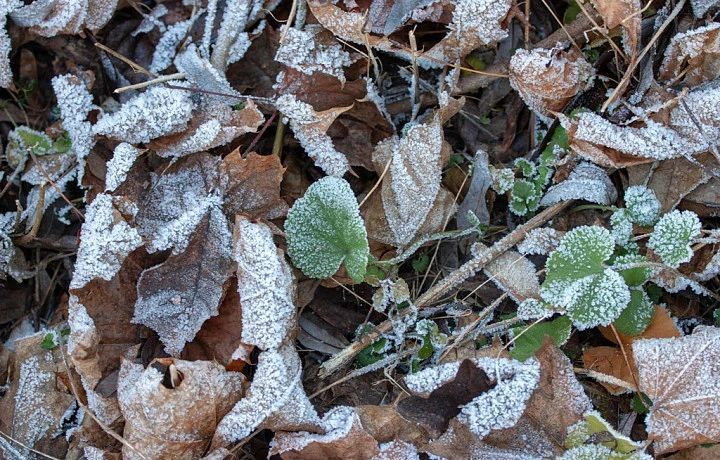 ������ �� 16 �������. ����� ��������: 08:43