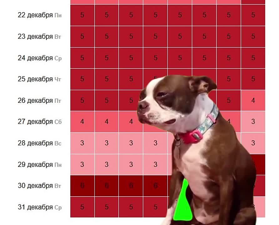 Метеозависимых в конце декабря ждёт ад