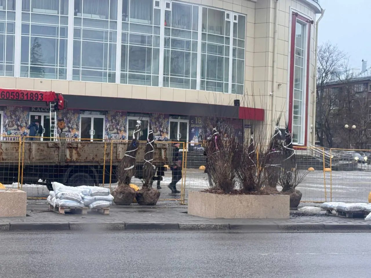 Площадку перед Тульским цирком озеленяют спиреей и пузыреплодником