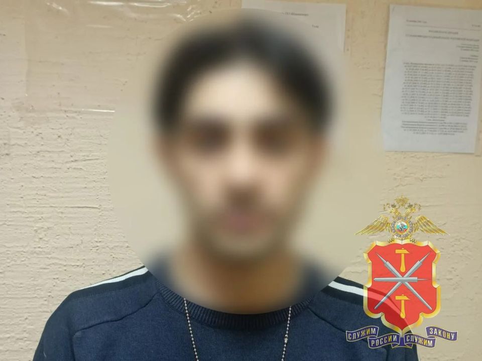 «Хотел создать себе новогоднее настроение»: туляка задержали за кражу ёлочных украшений