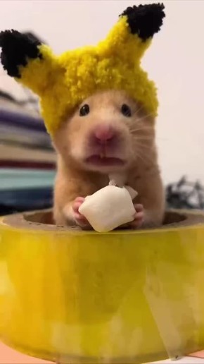 �������� ���� � ����������� ���������