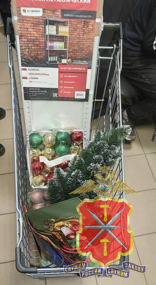 В Туле полицейскими установлен подозреваемый в краже ёлочных украшений В Туле полицейскими установлен подозреваемый в краже ёлочных украшений