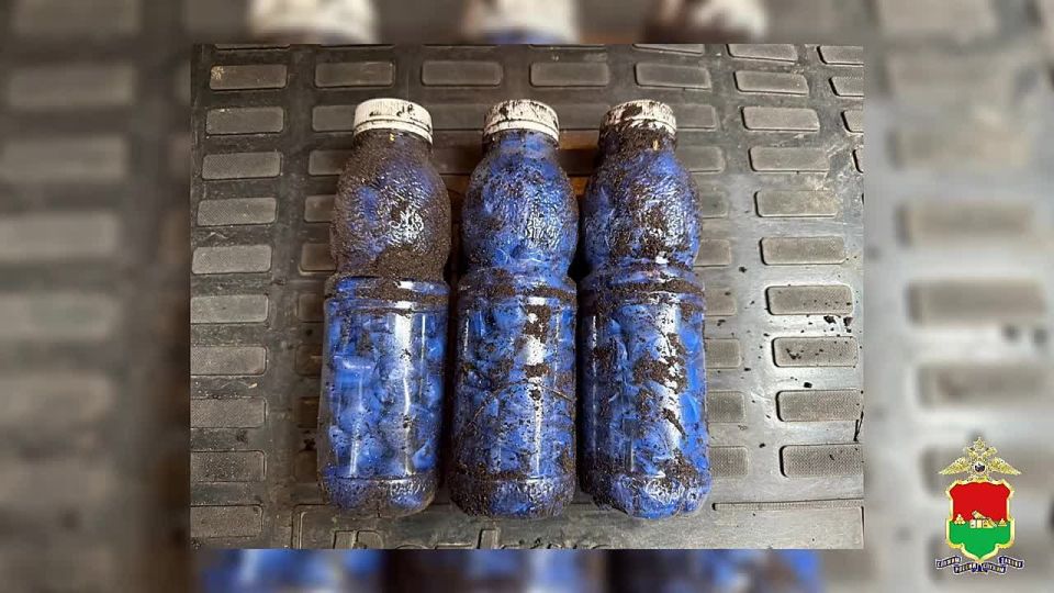 ����������� �������� ������������ ���� �����������-��������������, ��������� � ������ �� ����