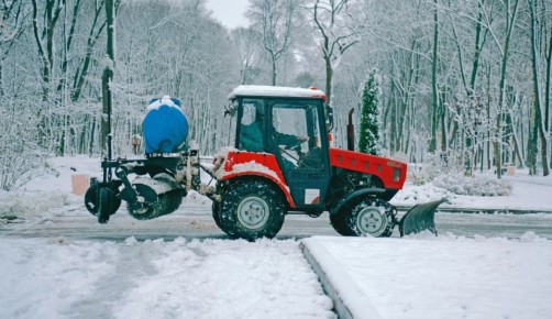 Отравиться нельзя, но можно получить ожог: как используемый в Туле реагент влияет на животных