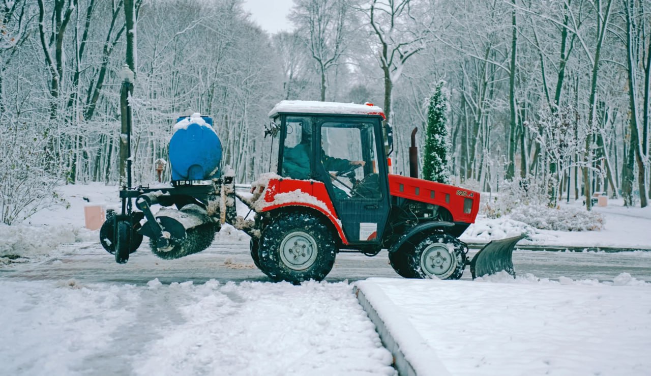 Отравиться нельзя, но можно получить ожог: как используемый в Туле реагент влияет на животных