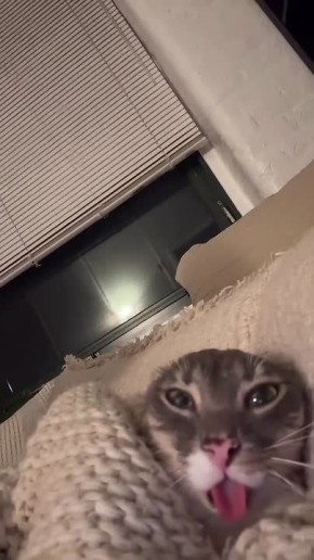 Когда будильник прервал красочный сон, и нужно быстро собираться на работу