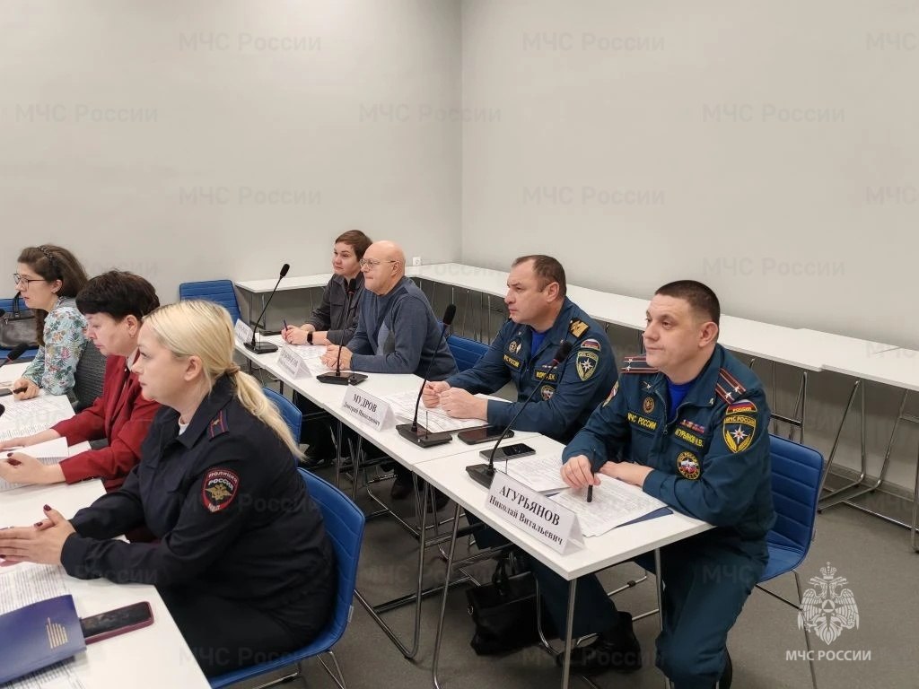 О пожарной безопасности и безопасности на водоёмах рассказали родителям со всего региона специалисты МЧС России