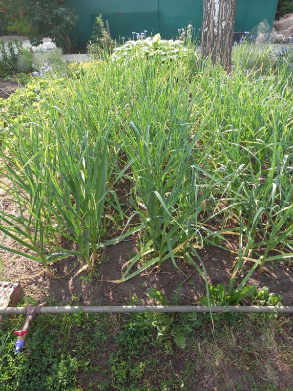 ��� ���������� � ����������� ������� � ����: ��� ������� ������ � ������� ������ ���������