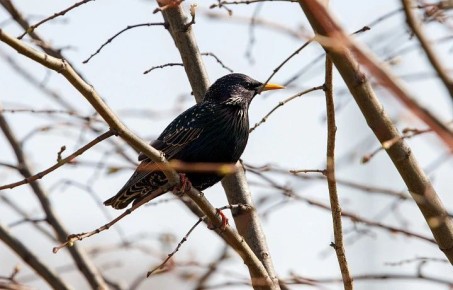 ������ �� 19 �������. ����� ��������: 08:46