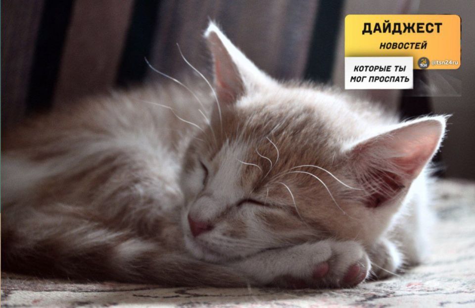 ������������ � ��������, ������� �� ����� ���������� �����