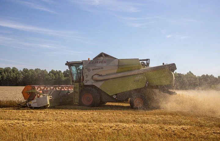 Белёвский и Куркинский районы получат 110 млн на развитие сёл