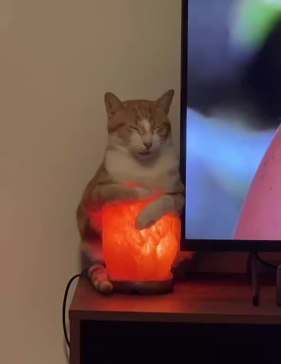 ������ ������, � ������� ����� ����� �����