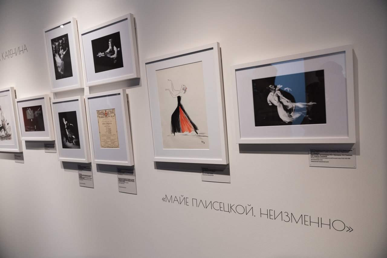 Звезда «Лебединого озера»: в Туле открылась выставка, посвященная 100-летию балерины Майи Плисецкой Звезда «Лебединого озера»: в Туле открылась выставка, посвященная 100-летию балерины Майи Плисецкой