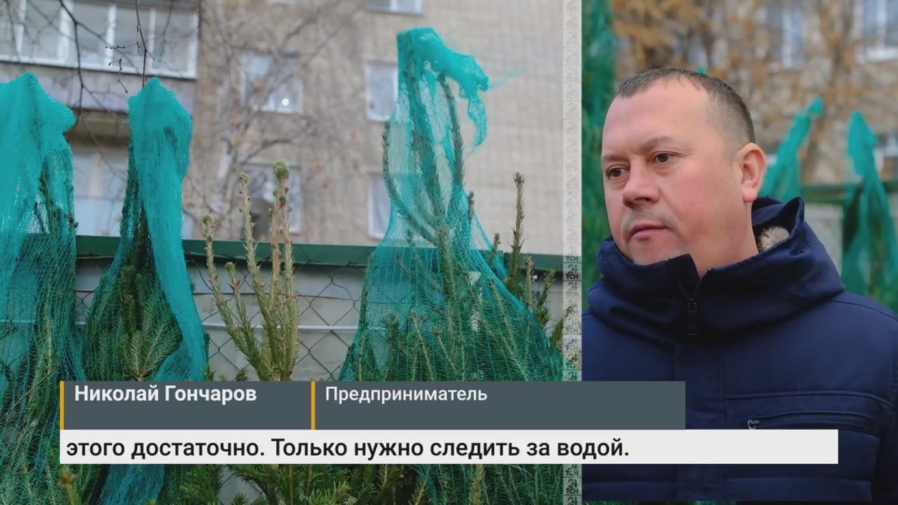 20 декабря в Туле откроются ёлочные базары