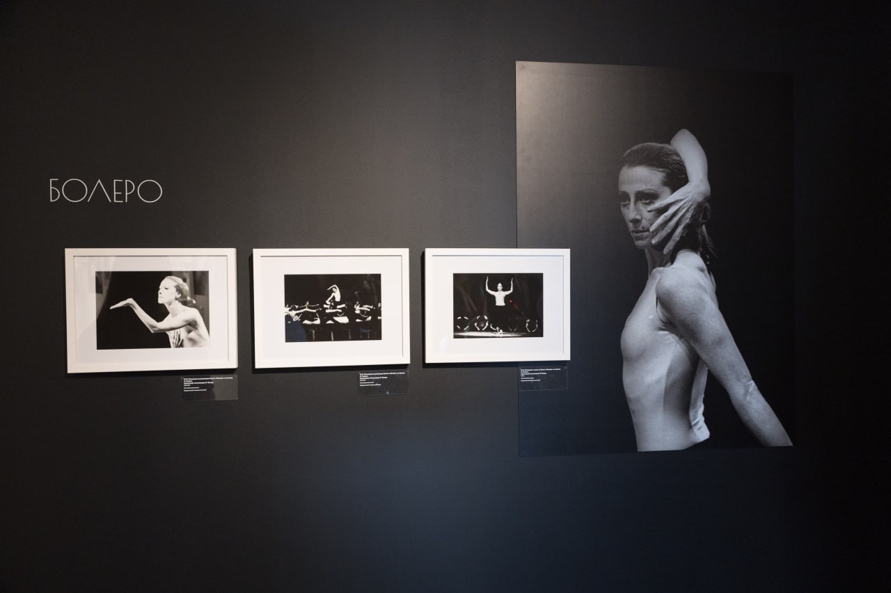 Звезда «Лебединого озера»: в Туле открылась выставка, посвященная 100-летию балерины Майи Плисецкой Звезда «Лебединого озера»: в Туле открылась выставка, посвященная 100-летию балерины Майи Плисецкой